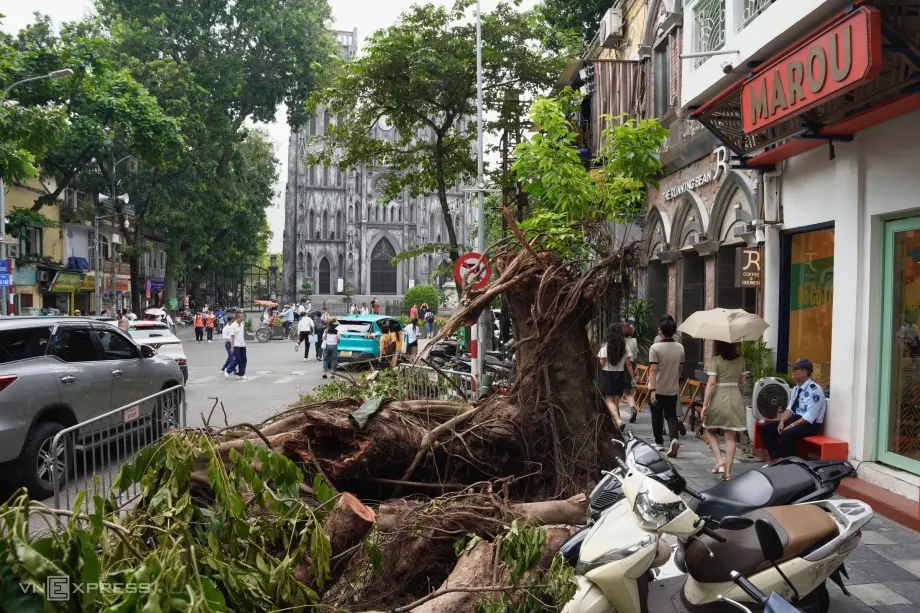 Trung tâm hà hội ngổn ngang cây đổ sau 1 tuần bão Yagi